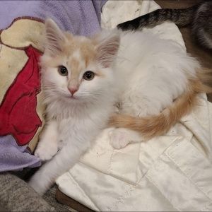 Meet your Posher, Julie